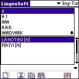 LingvoSoft Dictionary English <-> Turkish for Palm 3.2.92 screenshot
